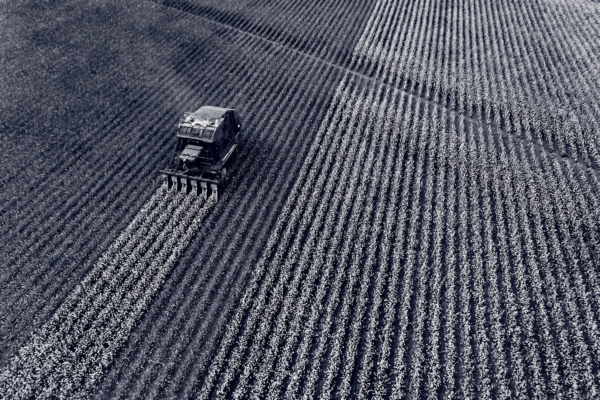 agriculture