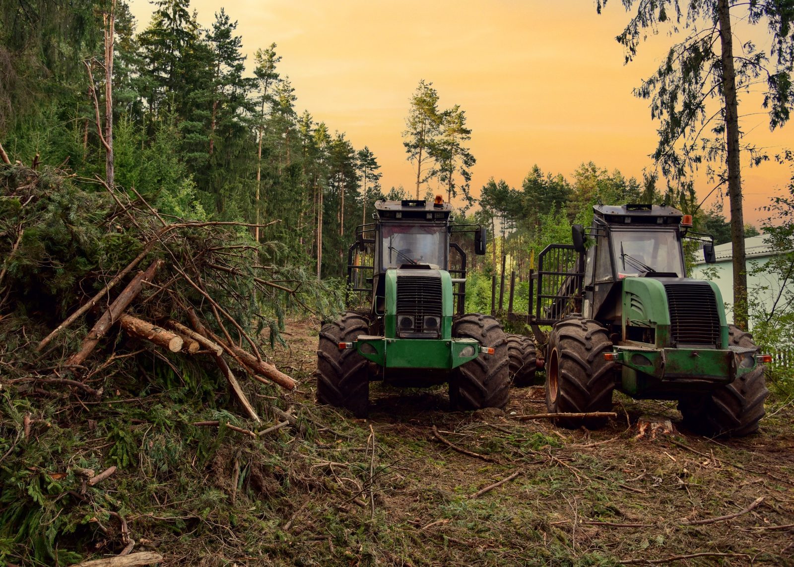 forestry machine