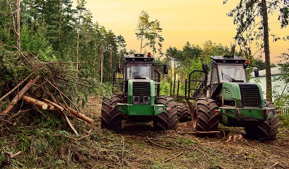 trucks in the forest cleaning up fallen trees