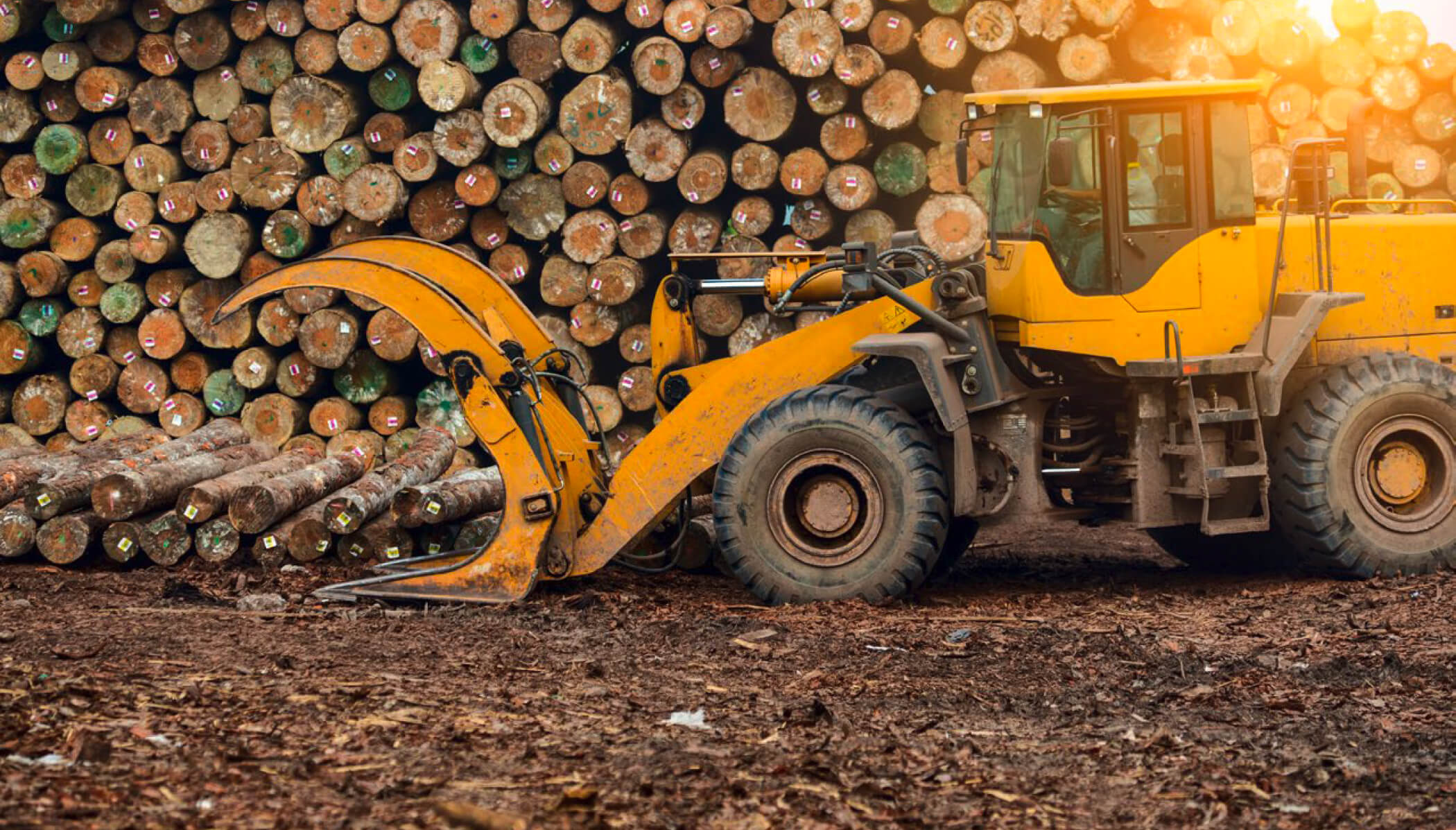 Log loader gathering logs