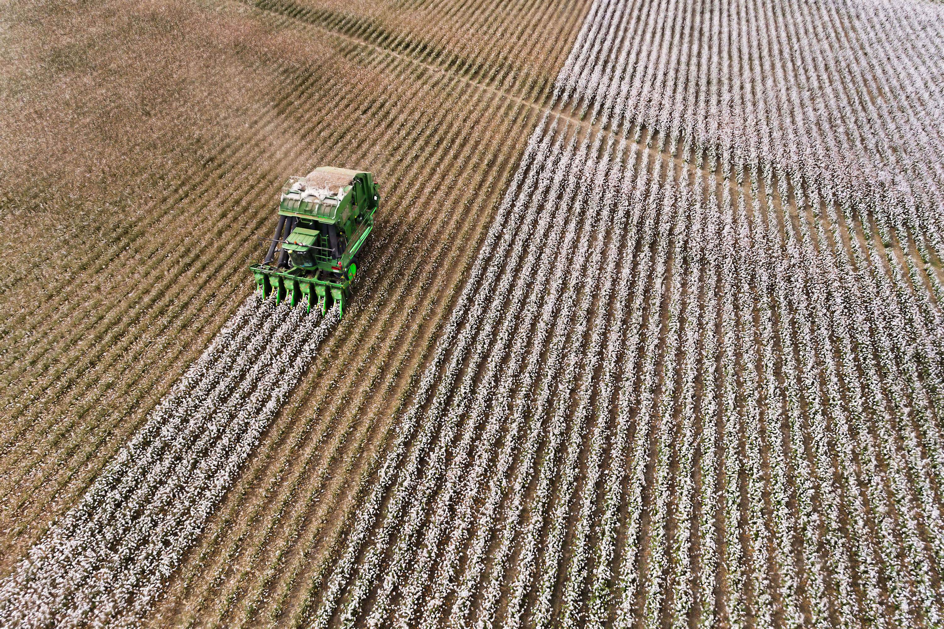 tractor in the field