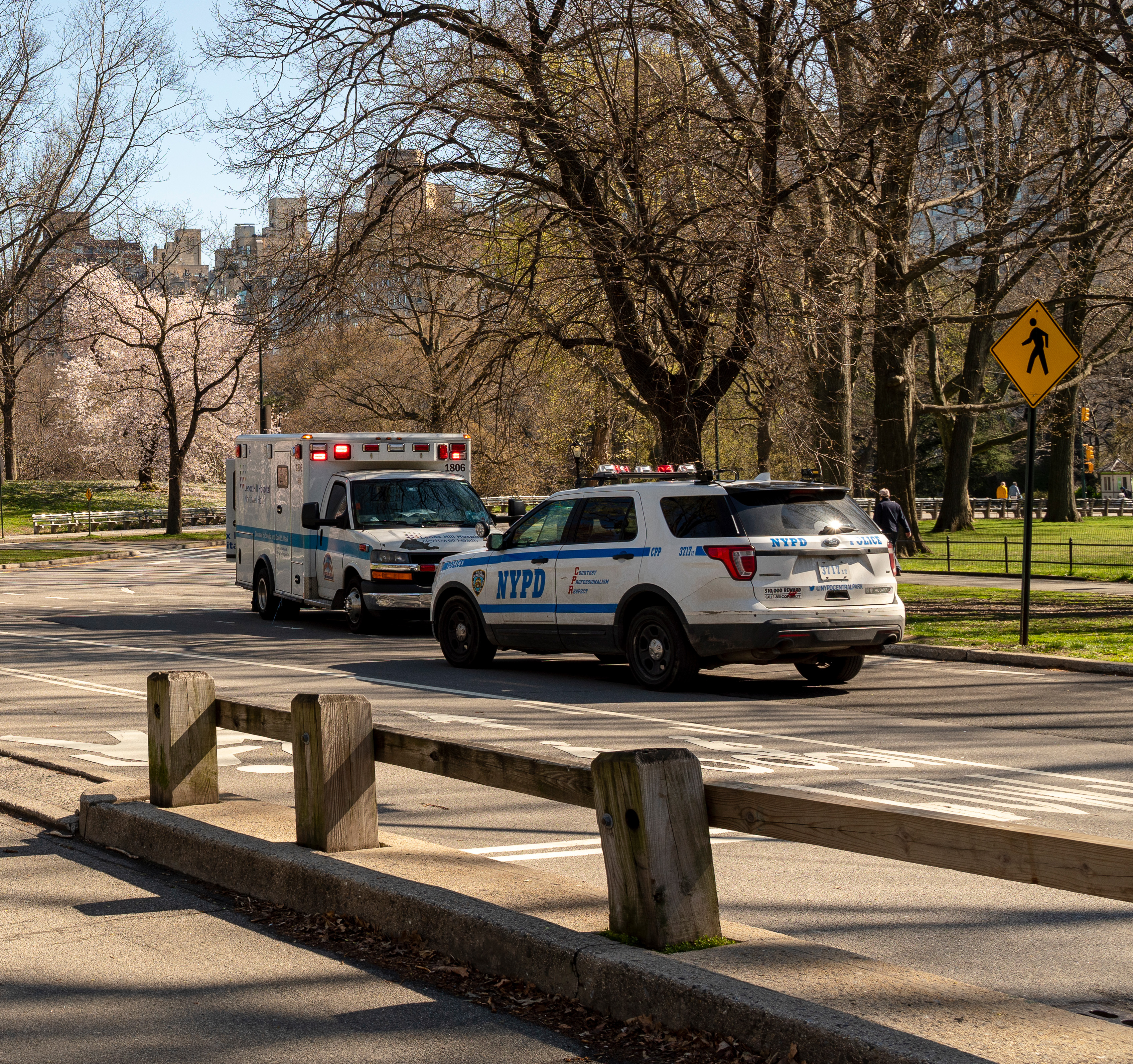 ambulance and police cars